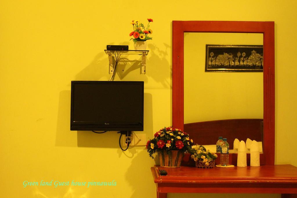 Green Land Guest House Pinnawala (Kegalle) Exterior foto