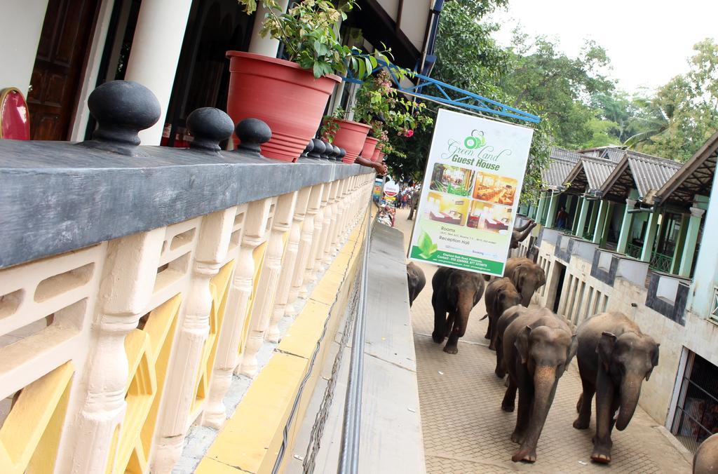 Green Land Guest House Pinnawala (Kegalle) Exterior foto