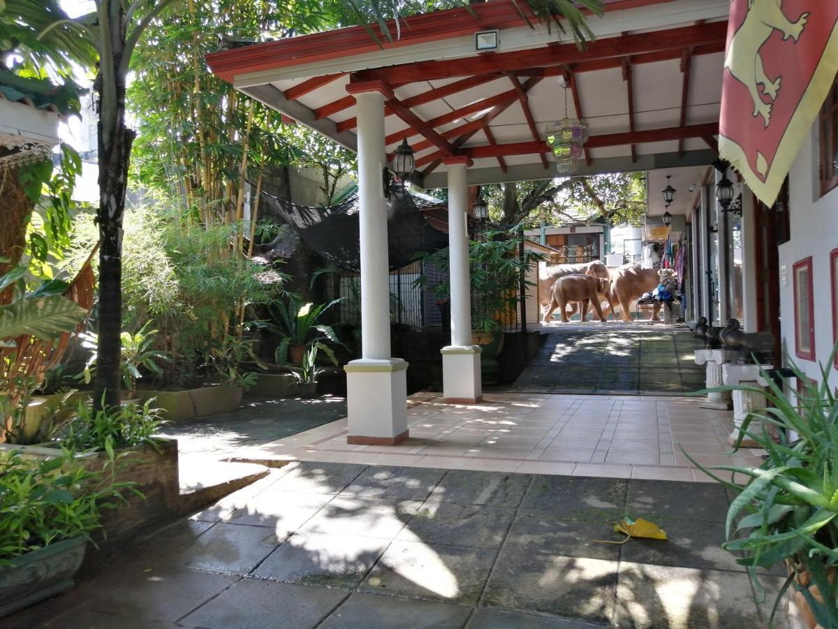 Green Land Guest House Pinnawala (Kegalle) Exterior foto